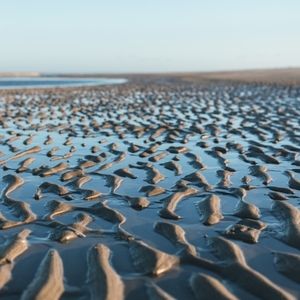 Meet your Posher, Mason